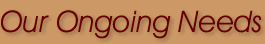 Our Ongoing Needs
